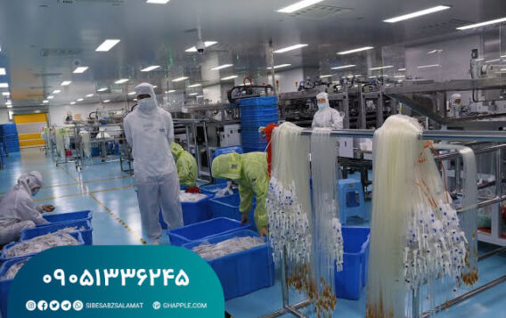 مراحل راه‌اندازی خط تولید ست سرم