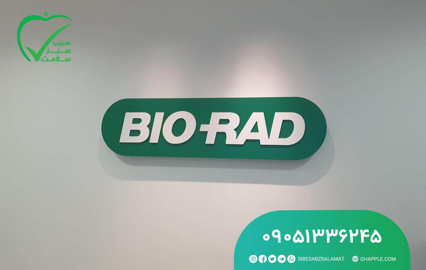 مراحل اخذ نمایندگی بایورد