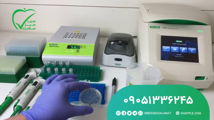 شرایط اخذ نمایندگی بایورد در ایران